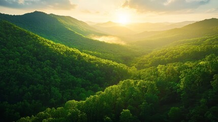 Obraz premium A breathtaking view of the Ozark Mountains in Missouri, bathed in the golden light of sunset. The rolling hills, lush greenery, and distant haze create a peaceful and inspiring atmosphere.