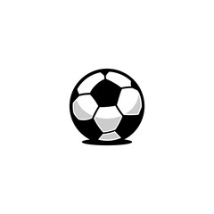 soccer ball vector of white background