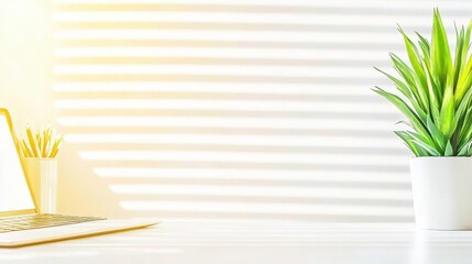 A lush green monstera plant sits beside a sleek computer on a clean, modern desk, adding a touch of nature to the workspace.