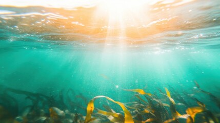 Naklejka premium Beneath the surface, sunlight dances across the water, highlighting lush seaweed swaying gently in the current