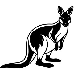 kangaroo illustration