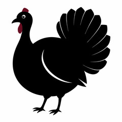 illustration of chicken