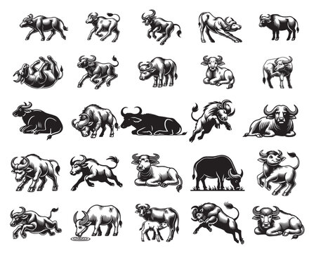 Set of Domestic water buffalo Vector illustration, Bubalina Clipart Design in black and white