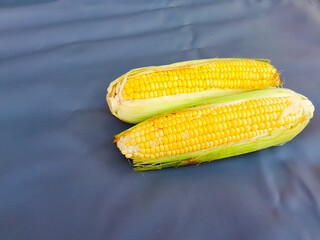 Sweet corn (Zea mays) is a variety of corn that has a higher sugar content than regular corn
