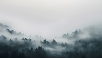 Fototapeta premium fog in the mountains