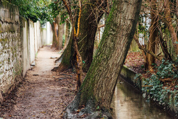 Petit passage longeant un mur et une rivière. Arbres plantés sur un chemin en bordure de ruisseau...