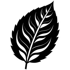 Obraz premium leaf-vector-illustration--silhouettes