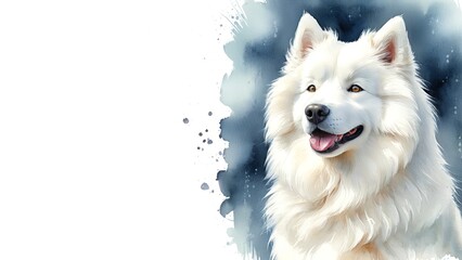 Fototapeta premium Samoyed dog , captured in a serene watercolor portrait. Drawing. Art. Illustration. Copy Space. 1