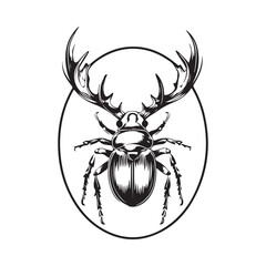  Stag Beetle image vector. Illustration of a Stag Beetle Image Isolated on white background.