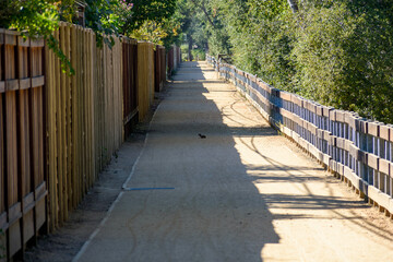 A shaded dirt pathway with parallel wooden fences stretches into the distance, flanked by greenery