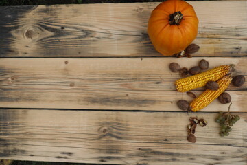 Autumn harvest elements on the wood background