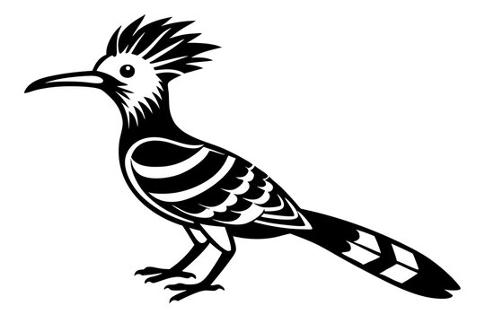 recommend clip art: hoopoe  silhouette  vector icon