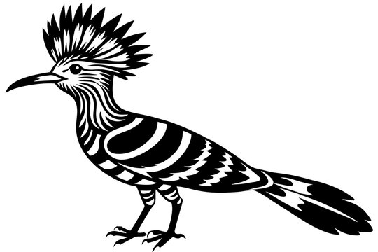 recommend clip art: hoopoe  silhouette  vector icon