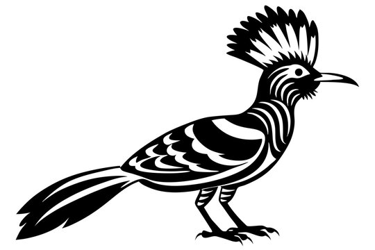 recommend clip art: hoopoe  silhouette  vector icon