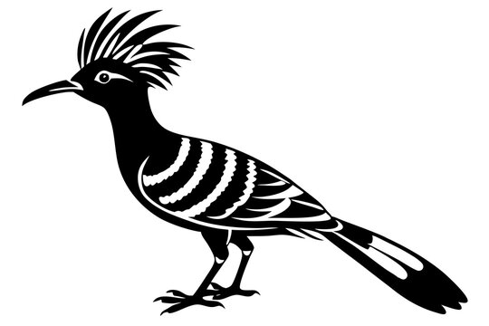 recommend clip art: hoopoe  silhouette  vector icon