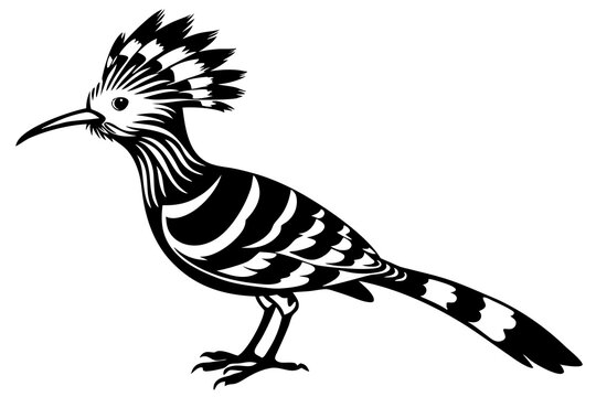 recommend clip art: hoopoe  silhouette  vector icon
