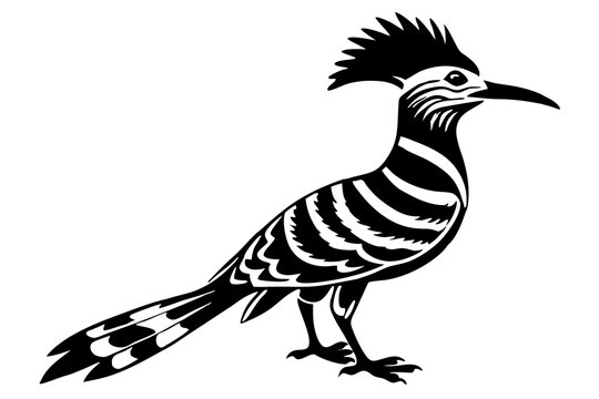 recommend clip art: hoopoe  silhouette  vector icon