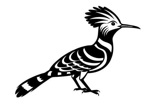 recommend clip art: hoopoe  silhouette  vector icon