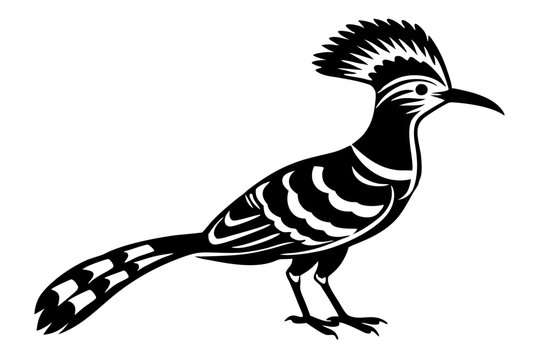 recommend clip art: hoopoe  silhouette  vector icon