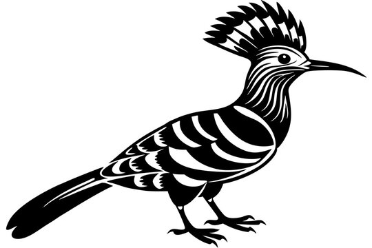 recommend clip art: hoopoe  silhouette  vector icon