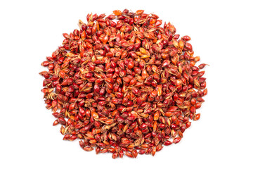 Sorghum seeds isolated on white background. Heap of Sorghum broom seeds.