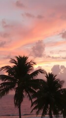 A tropical sunset sky with orange and pink hues reflecting off the ocean, with palm trees silhouetted in the foreground swaying gently in the breeze
