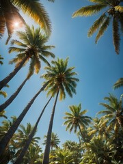 Fototapeta premium A bright, sunny tropical sky with palm trees standing tall against a vivid blue sky, their leaves catching the soft morning light 