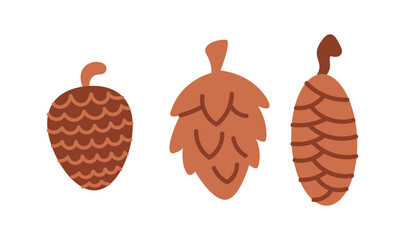 Pine cones of various shapes flat color vector objects set. Natural elements for Christmas themed project illustrations pack on white