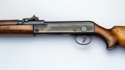 Semi-automatic rifled carbine hunting rifle with a wooden butt isolate on a white background