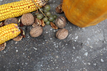 Autumn harvest elements on the concrete background