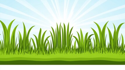 Fototapeta premium Fresh Green Grass with Sunlight Background