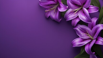 Purple lily flower and leaves rounded frame blank center space nature background