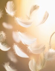 Obraz premium 羽毛 柔らかい ふわふわ 浮遊 軽やか 光 温かさ クローズアップ 透明感 繊細 優雅 自然 美しい 夢幻 柔和 風 エレガント ナチュラル 空気感 柔らかい光