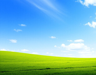 Fototapeta premium 하늘, 구름, 글자, 구름글자, 글자구름, KOREA구름, 빛, 초원, 들판, 푸른하늘, 가을하늘, 가을, 청명한, 청명함, 청명한 하늘, 맑은 하늘, 빛내림, 구름사이, 구름사이빛, 