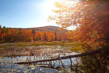 Sunny fall day at Morey Pond in Wilmot, New Hampshire.