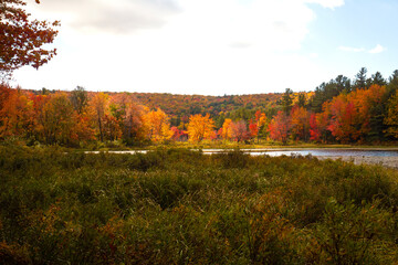 Sun spotlight illuminates fall foliage at Morey Pond, New Hampshire.
