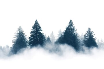 Misty forest silhouette with tranquil trees