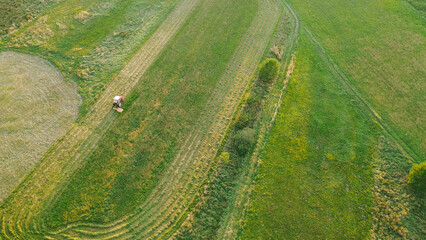 Tractor making hay rows