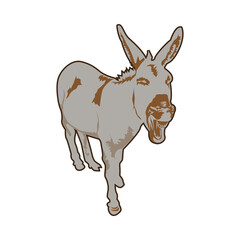 Donkey illustration PNG