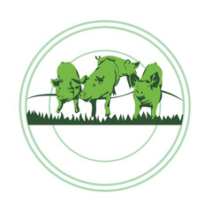 Pig illustration PNG