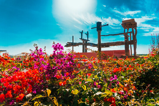 Old grape mill at Hacienda Tacama, Ica Peru