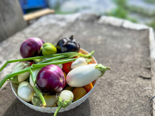 Bowl overflowing with freshly harvested vegetables from garden