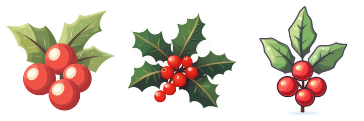 Holly berry leaves isolated on transparent background graphic PNG for Christmas designs or holiday illustrations