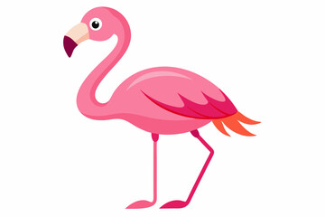 Pink flamingo bird vector, Exotic pink flamingo bird, Flamingo bird animal clipart