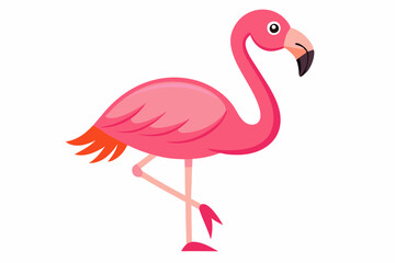 Pink flamingo bird vector, Exotic pink flamingo bird, Flamingo bird animal clipart