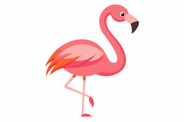 Pink flamingo bird vector, Exotic pink flamingo bird, Flamingo bird animal clipart