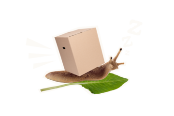 Composite collage picture of sleepy slow snail crawl leaf carry shipment box instead shell isolated on yellow background