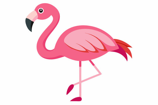 recommend clip art: Pink flamingo bird vector, Exotic pink flamingo bird, Flamingo bird animal clipart