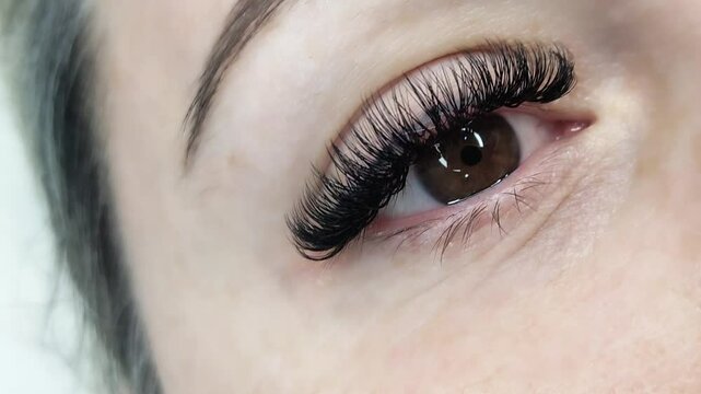Close up of eye with eyelash extensions ,beauty salon treatment ,2d volume, 3d volume, classical lashes,Russian volume,megavolume, new set