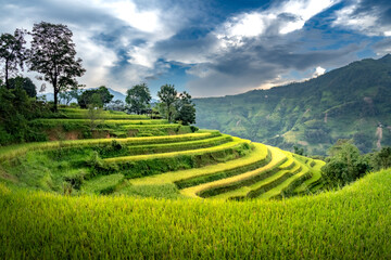 Admiring the beautiful terraced fields in Bac Quang District, Ha Giang Province, Vietnam